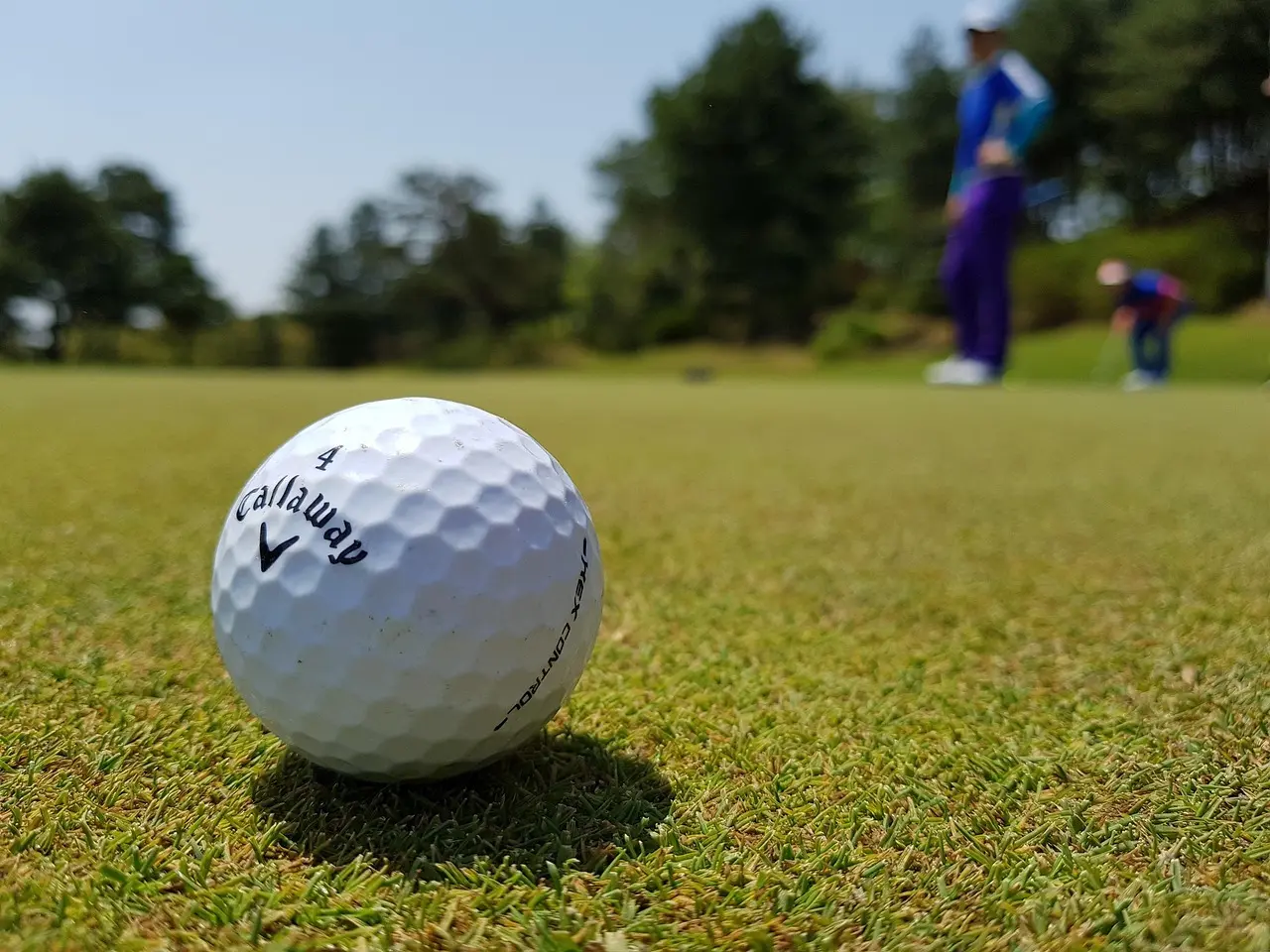Golfbold på green med golfspillere i baggrunden